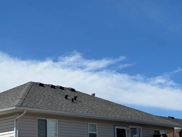 Trusted Eden, NC Roof Repair & Installaion Experts